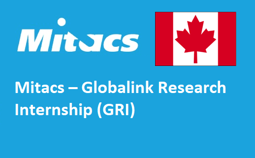 MITACS Globalink Internship